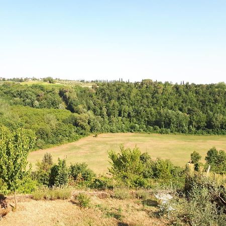 Podere Calcinaia Кастелнуово Берарденга Екстериор снимка