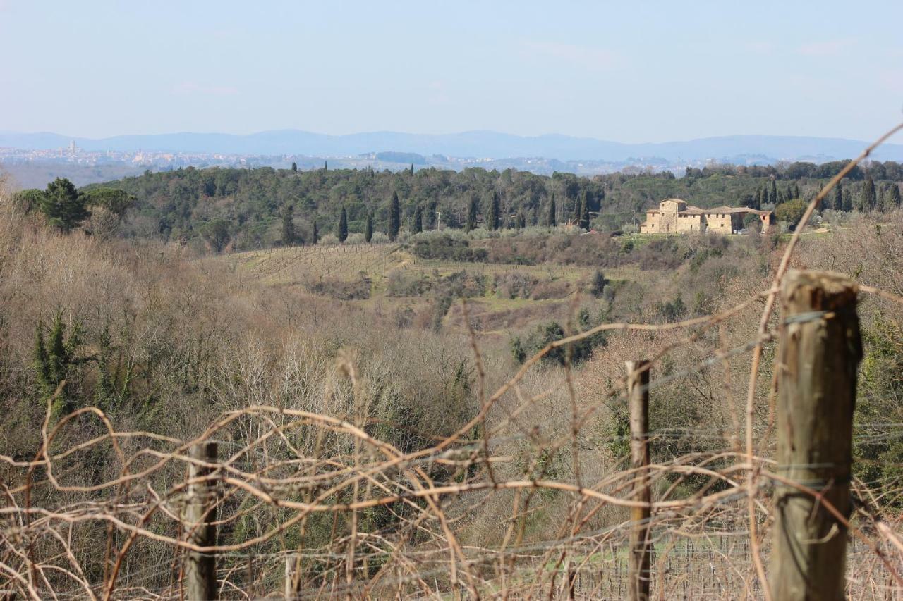 Podere Calcinaia Кастелнуово Берарденга Екстериор снимка